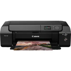 Замена памперса на принтере Canon PRO-300 в Перми